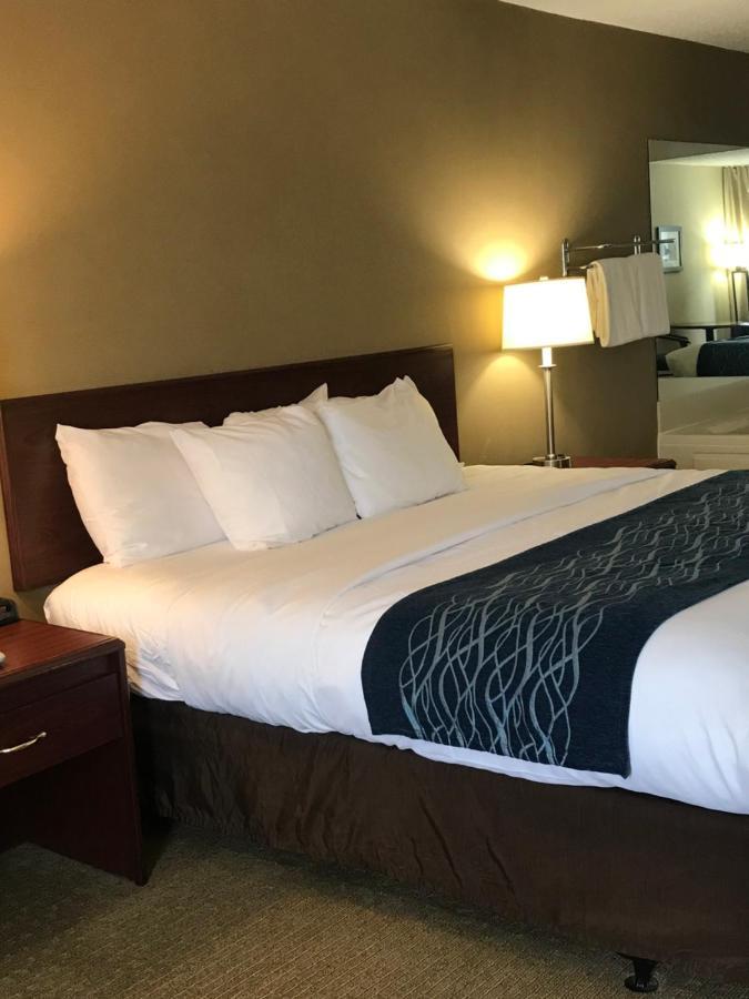 Comfort Inn Cambridge Zewnętrze zdjęcie